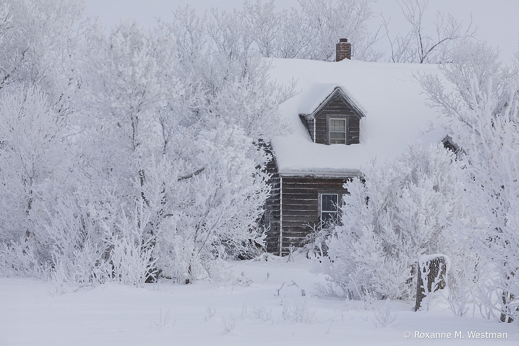 Abandoned house peeking through the frost - ID: 16041851 © Roxanne M. Westman