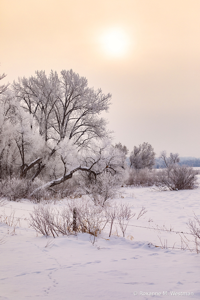 Winter landscape Sheyenne National grasslands - ID: 16041857 © Roxanne M. Westman