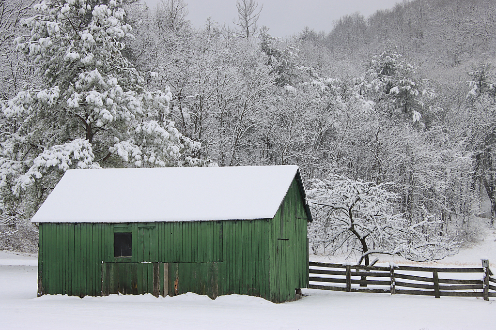 Fresh Snow