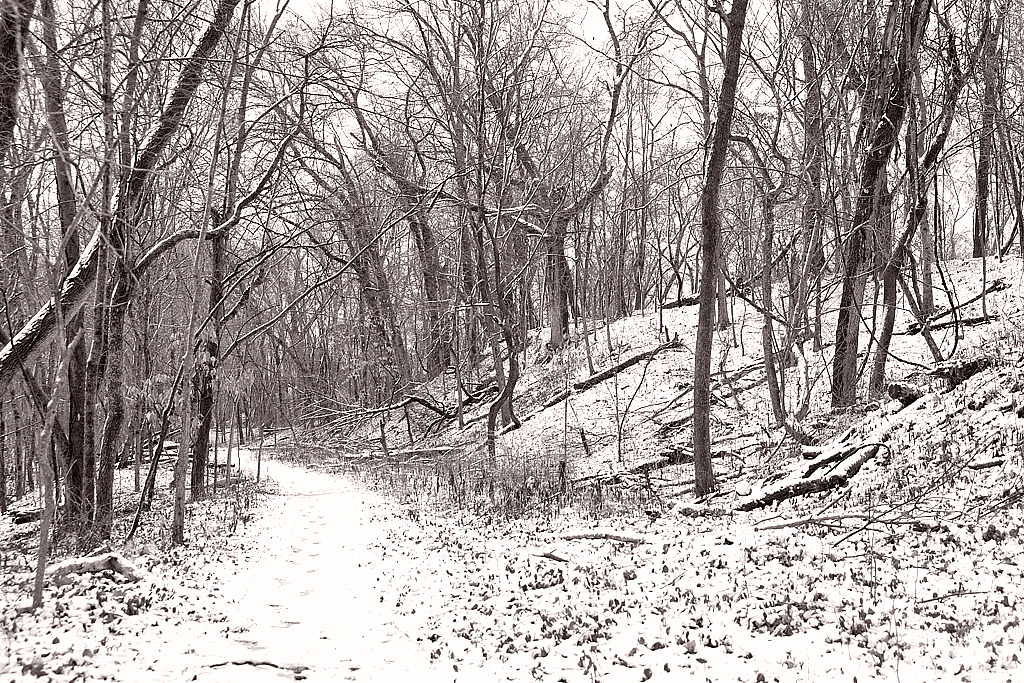 Snowy Trail - ID: 16042101 © Larry Lawhead