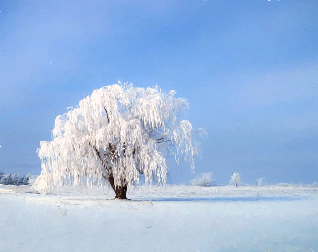 Frozen Willow (Edit: Van Gogh 2)