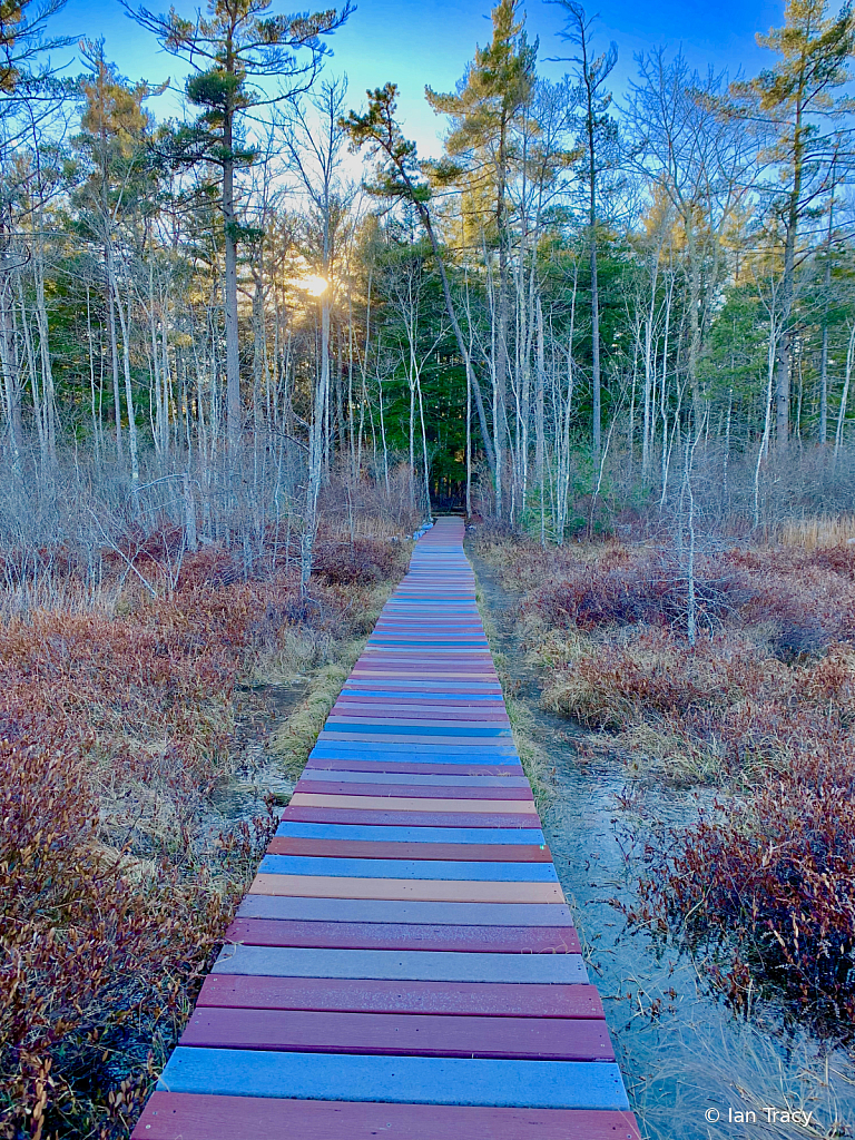 Maine walking path