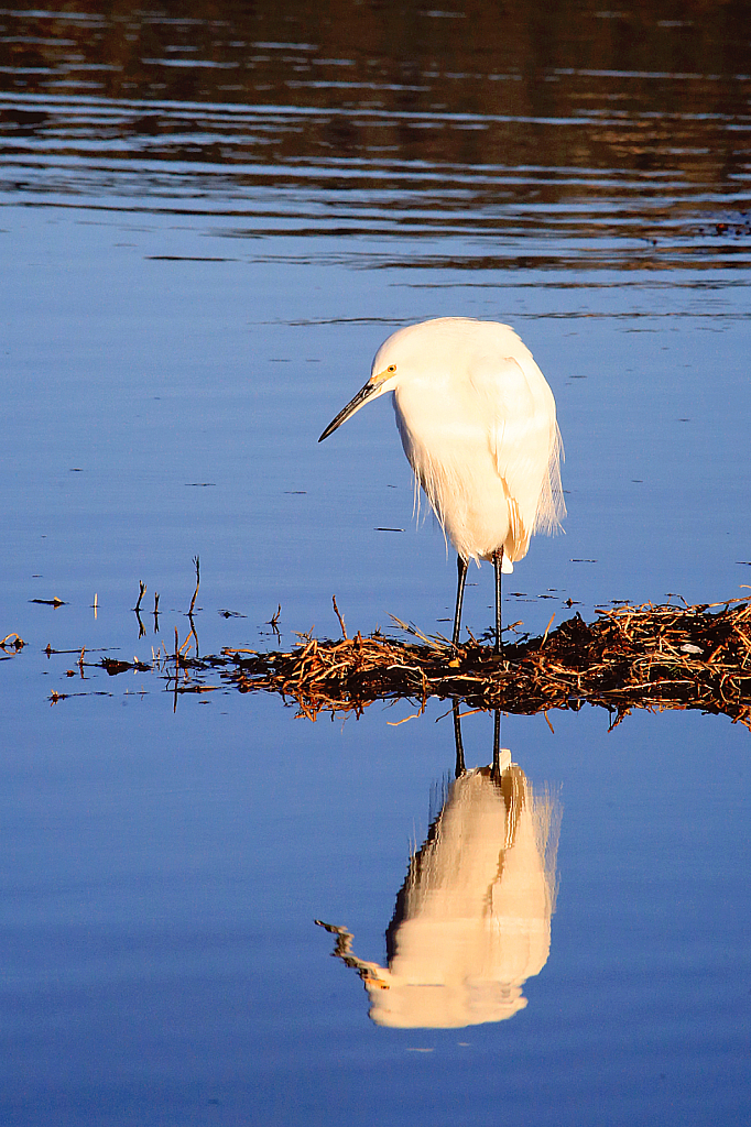 Reflecting