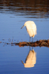 Reflecting