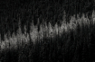 Light streak