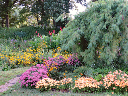 Garden Path