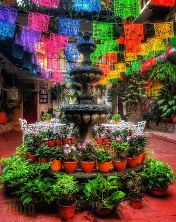 ~ ~ FIESTA AT THE FOUNTAIN ~ ~ 