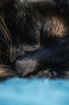Asleep