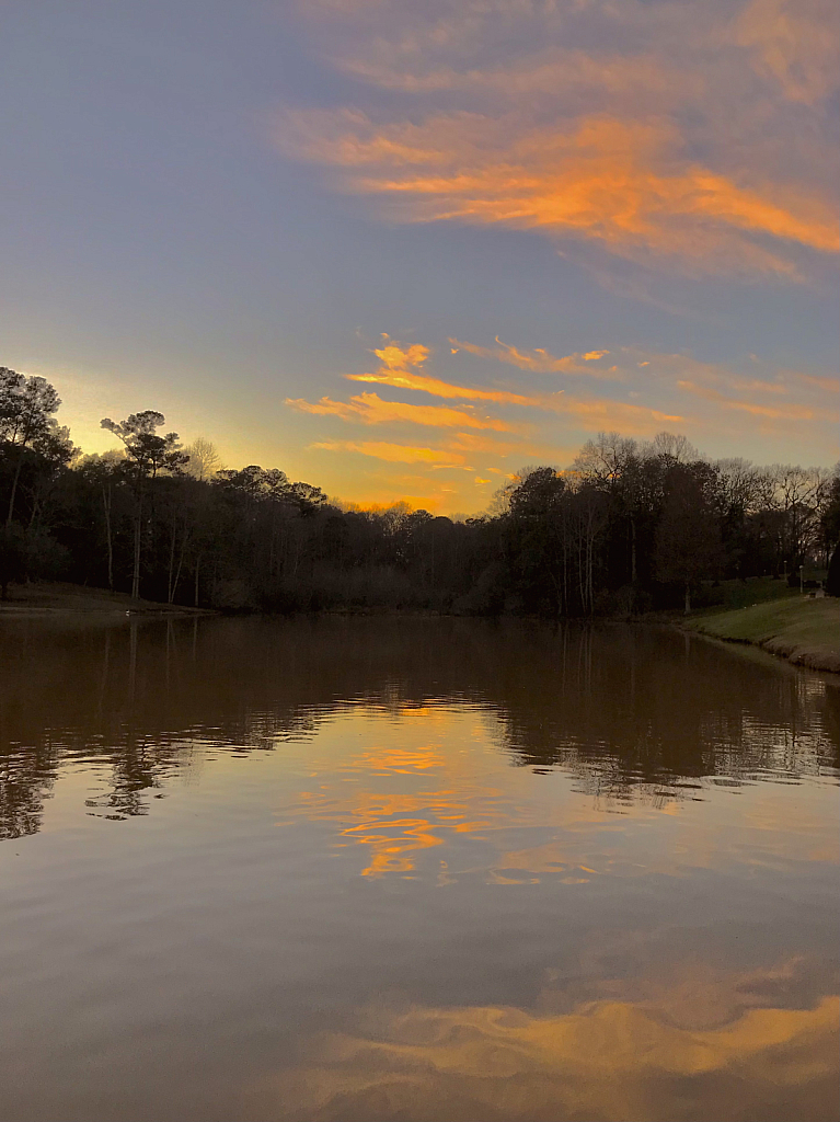 Golden ripples reflected  - ID: 16043249 © Elizabeth A. Marker