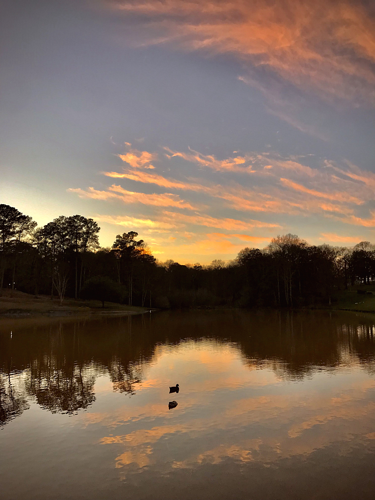 Resting in the sunset reflection  - ID: 16043250 © Elizabeth A. Marker