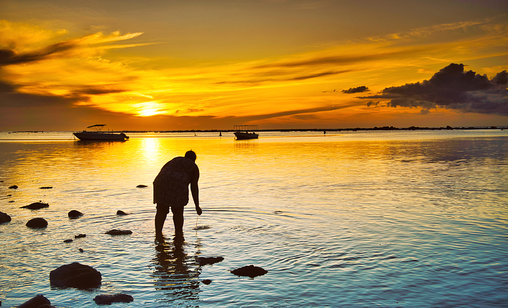 Seafood hunter