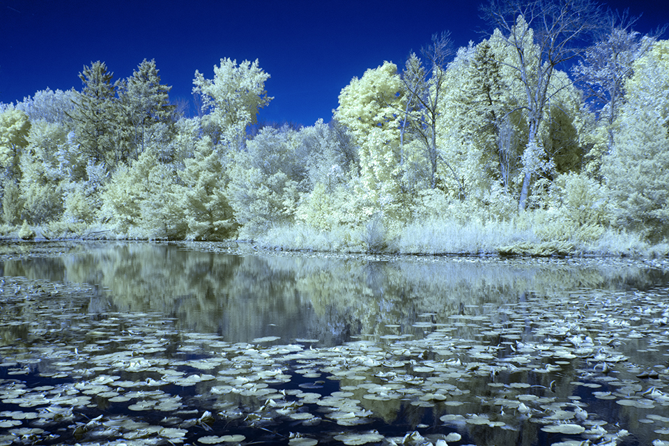 Milwaukee River - ID: 16043350 © John D. Jones