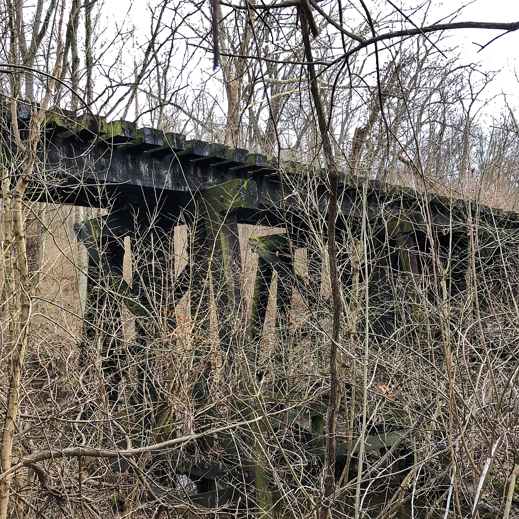 Abandoned Railroad Bridge - ID: 16043351 © Larry Lawhead