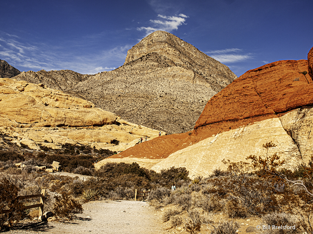 Nevada Landscape