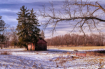 A old barn in a m...