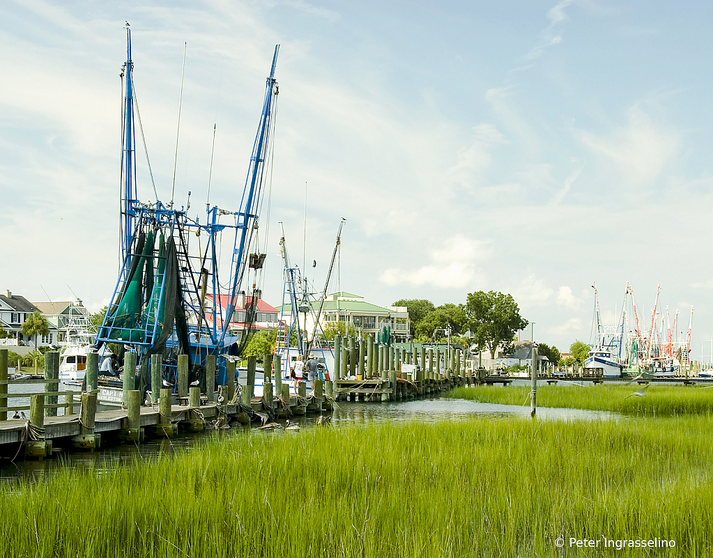 Shem Creek Landscape - Color - ID: 16043659 © Peter Ingrasselino
