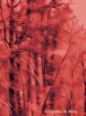 Cold Red 