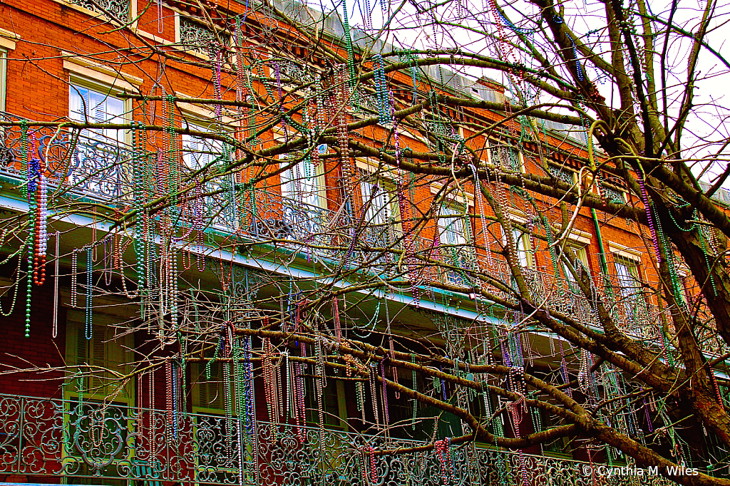 Mardi Gras Beads in Trees