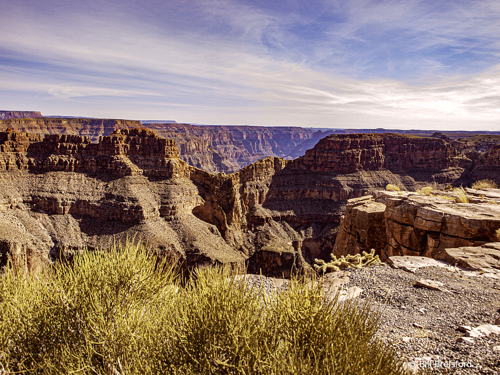 Nevada Landscape