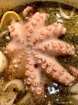 Simmering Octopus...