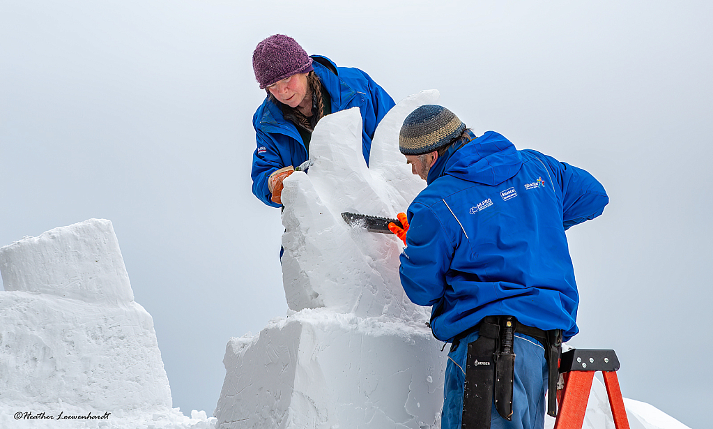 Ice Sculpture Competition