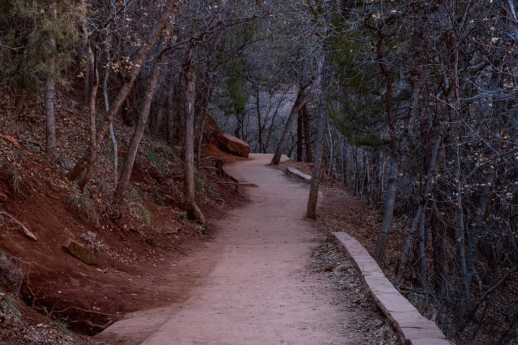 A walk in the woods