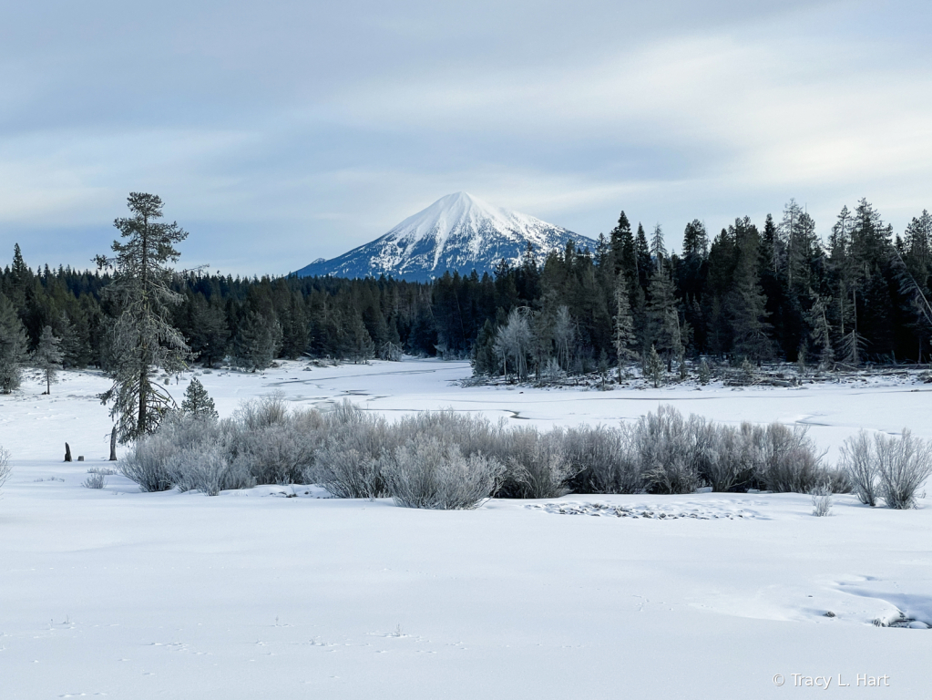 Mt. McLoughlin