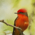 2Vermilion Flycatcher with a little Topaz fun - ID: 16044822 © Sherry Karr Adkins