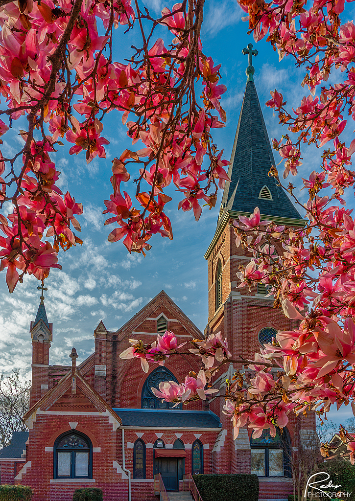 Church and Blooms In Late Afternoon Light