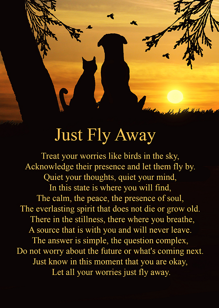 Just Fly Away