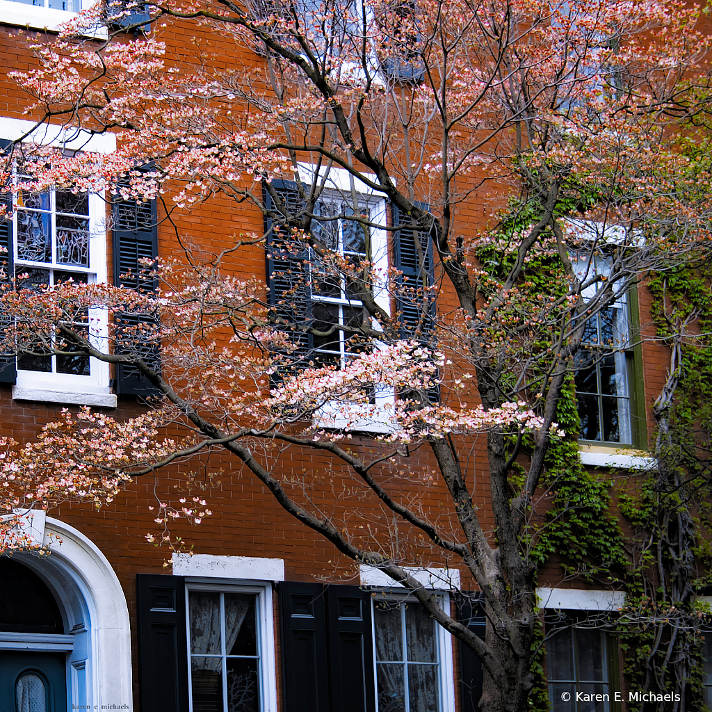 blooms and bricks - ID: 16045075 © Karen E. Michaels