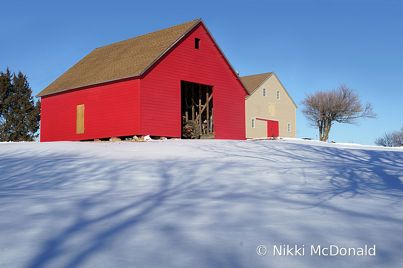 Barns and Tree Shadows