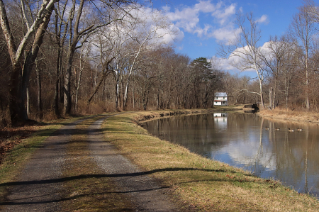 The Photo Contest 2nd Place Winner - C & O Canal