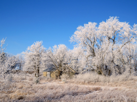 Iowa Winter