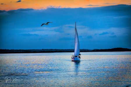Peaceful Sailing