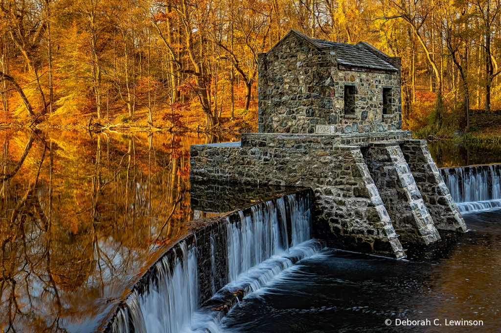 Speedwell Lake