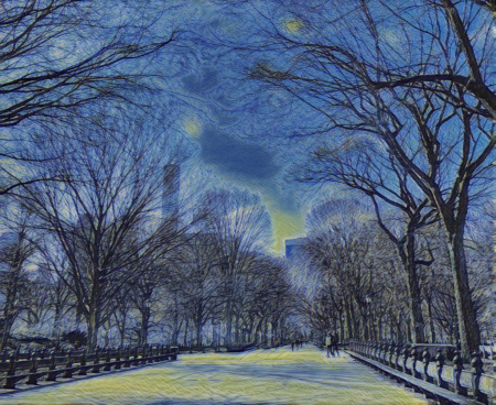 A Starry Night in Central Park