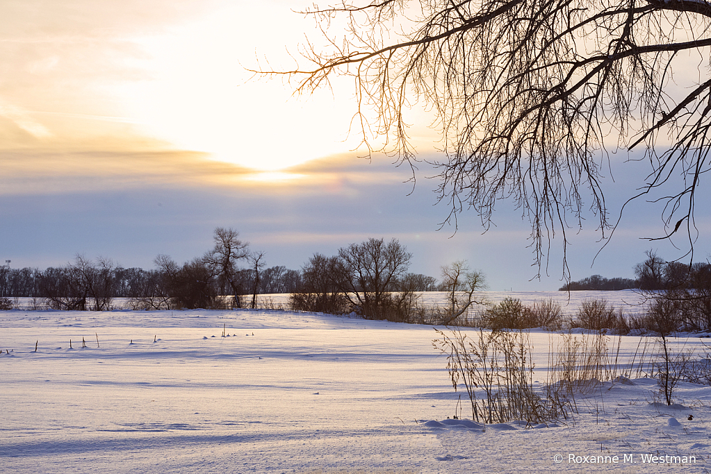 Winter glow on the landscape - ID: 16050013 © Roxanne M. Westman