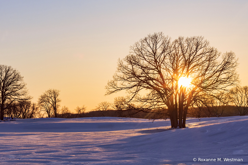 Winter sunset Sheyenne National grasslands - ID: 16050014 © Roxanne M. Westman
