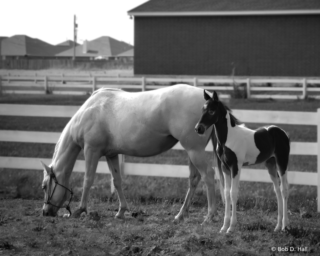 Boy With Mom