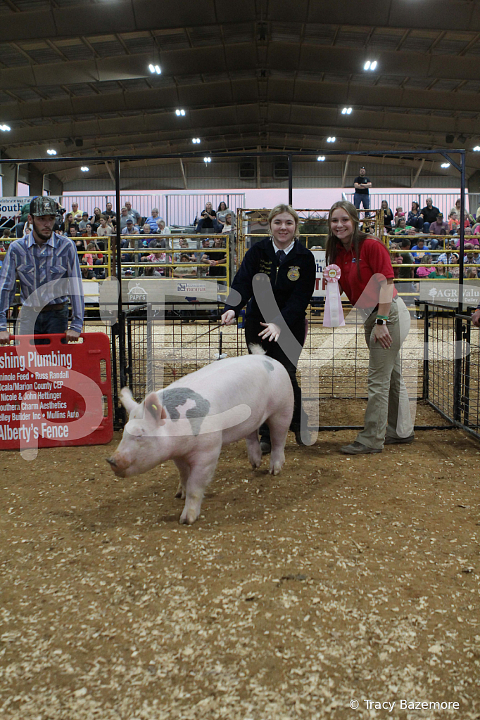 swine0314 - ID: 16057216 © Tracy Bazemore
