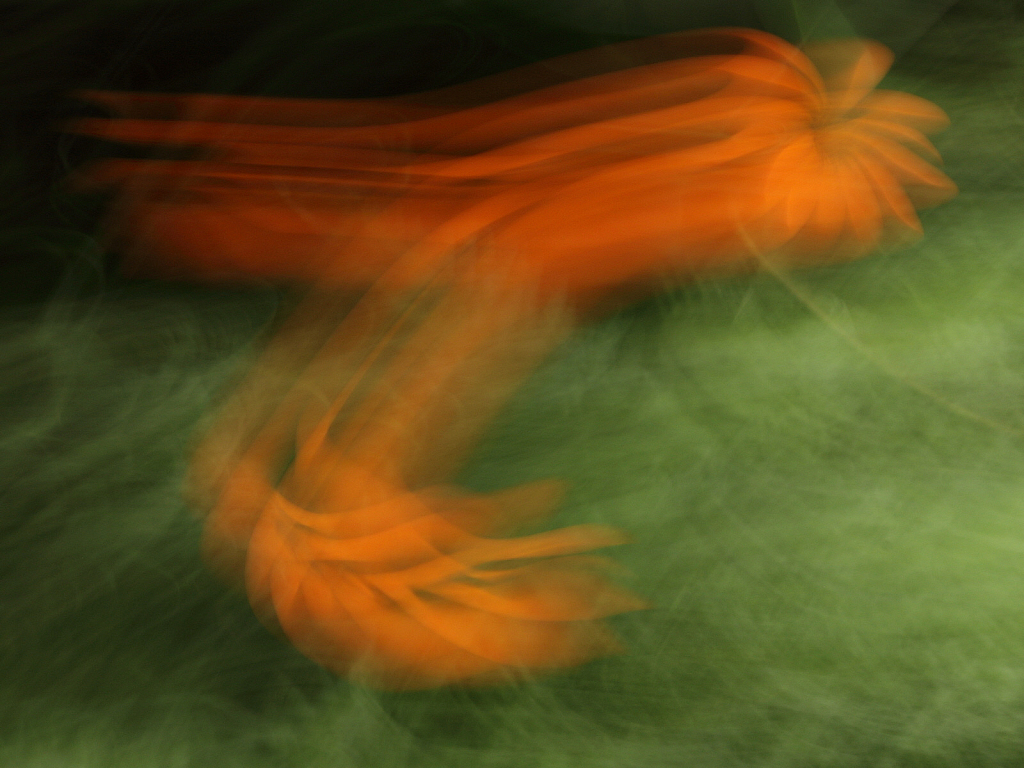 img7