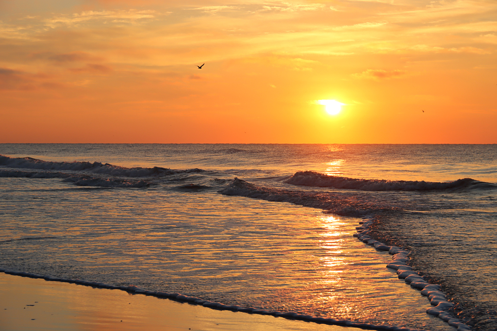 Sunrise at the Beach - ID: 16059590 © Lori A. Nevers