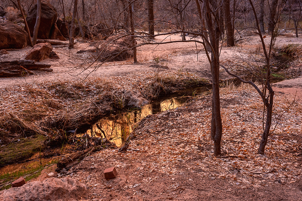 Serenity in the stillness of winter