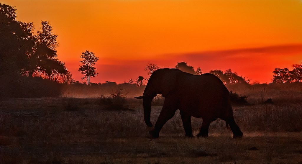 African Sunset