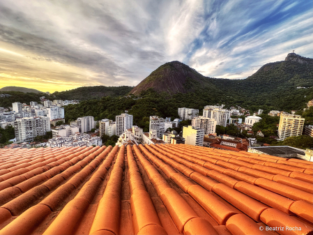 Rooftop 