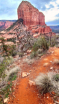 Arizona Magic