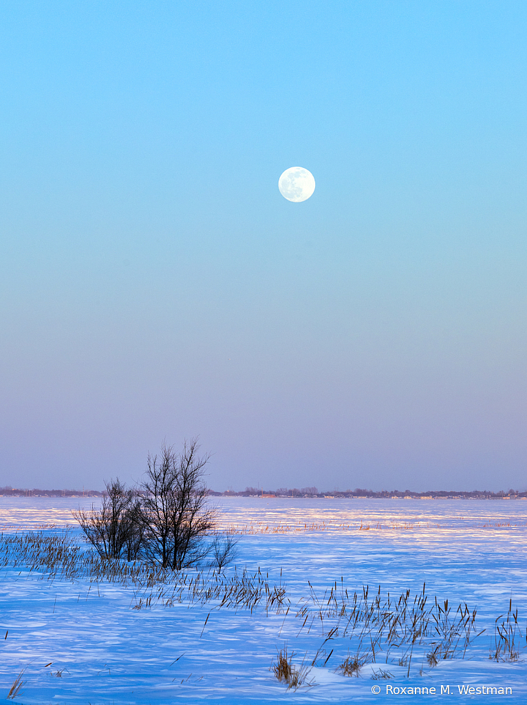 March full winter moon - ID: 16060075 © Roxanne M. Westman