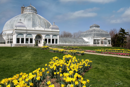 Springtime at the Gardens