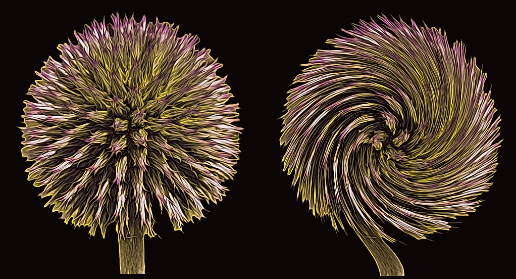 Thistles - moku hanga style